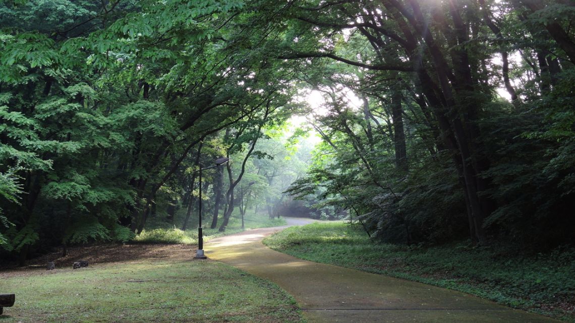 桜ヶ丘公園の探索ルート