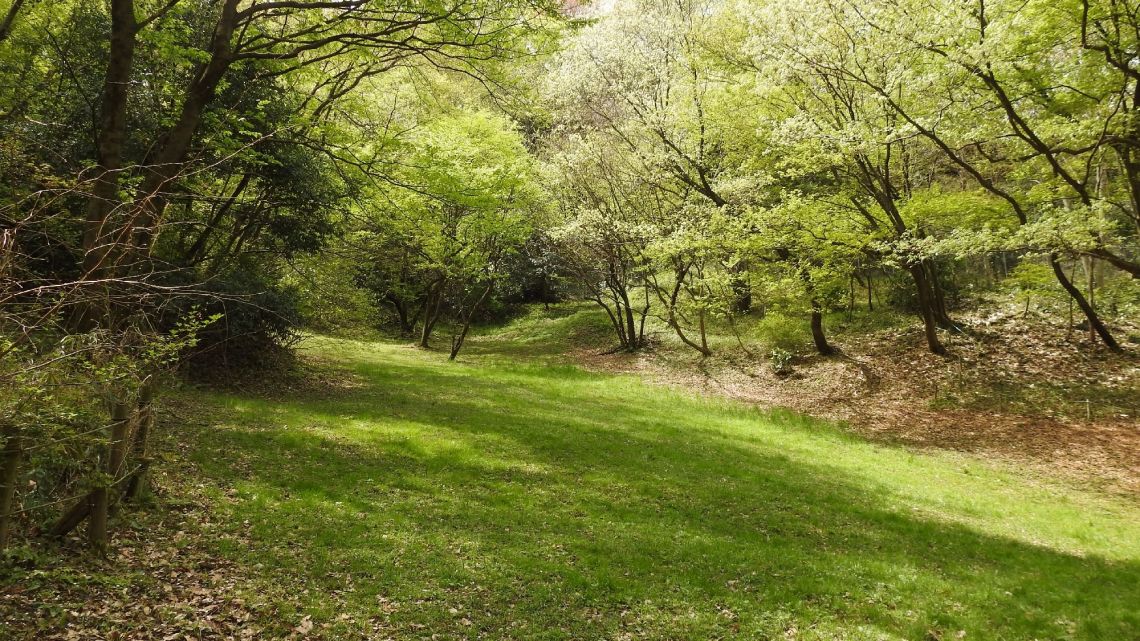 稲城第一公園