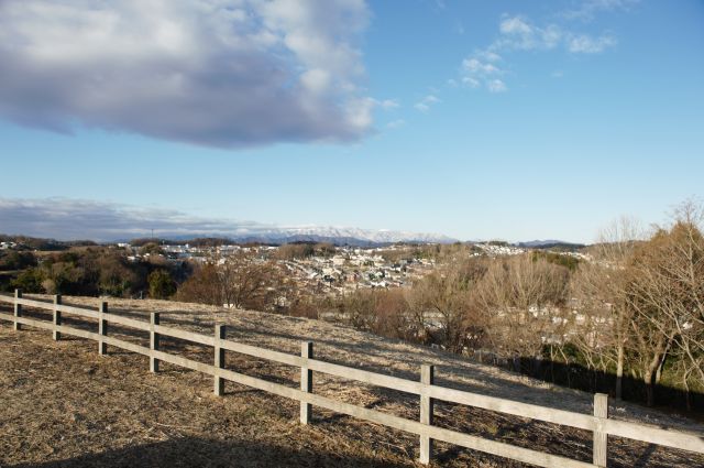 小山田緑地