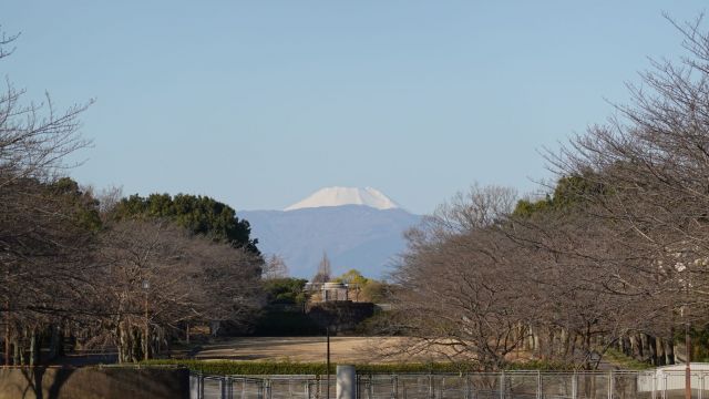宝野公園 富士見通り