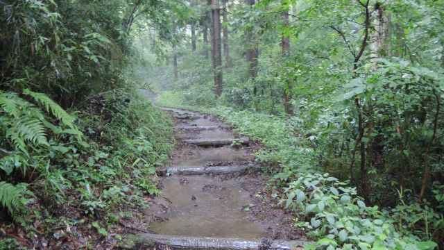 大雨の後の桜ヶ丘公園