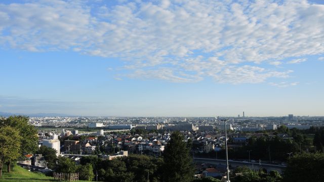 青空と緑が映える朝