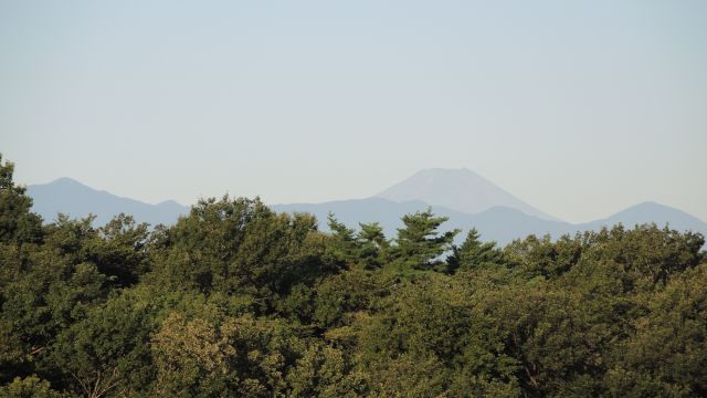 夏の富士山