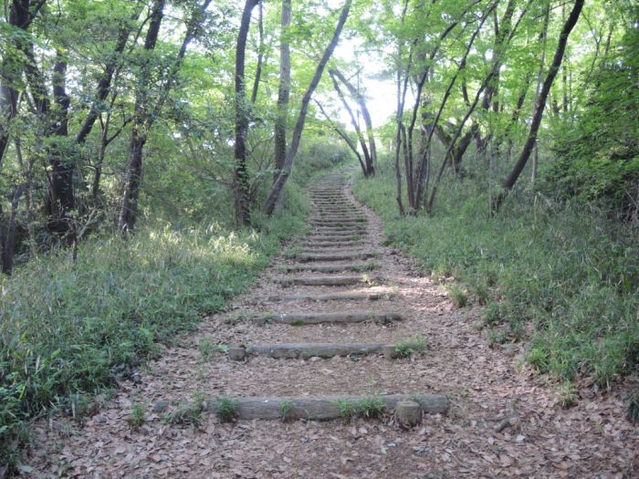 都立桜ヶ丘公園