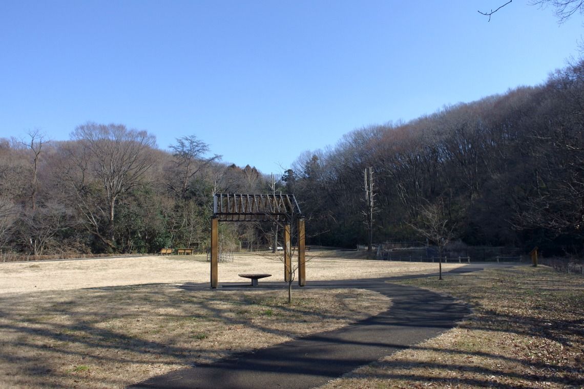 桜ヶ丘公園　とんぼの広場