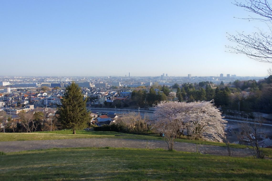 花冷えで桜の満開が遅れています