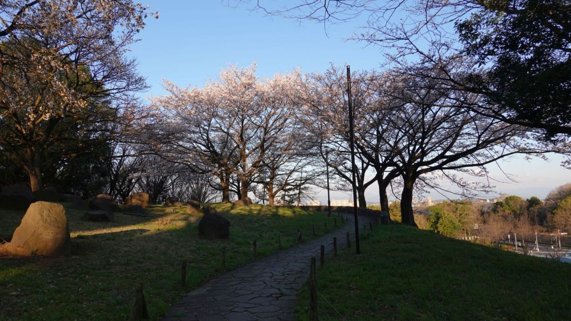 丘の上広場公園