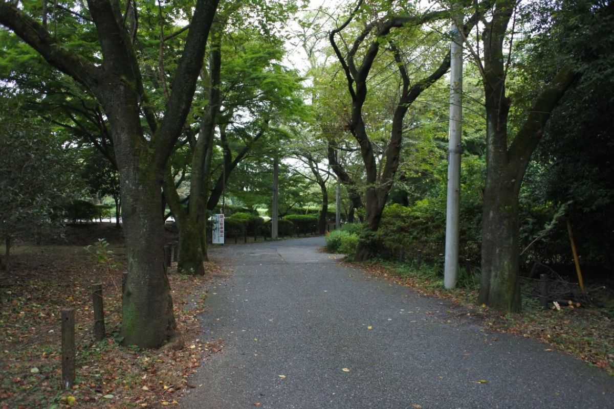 記念館の道