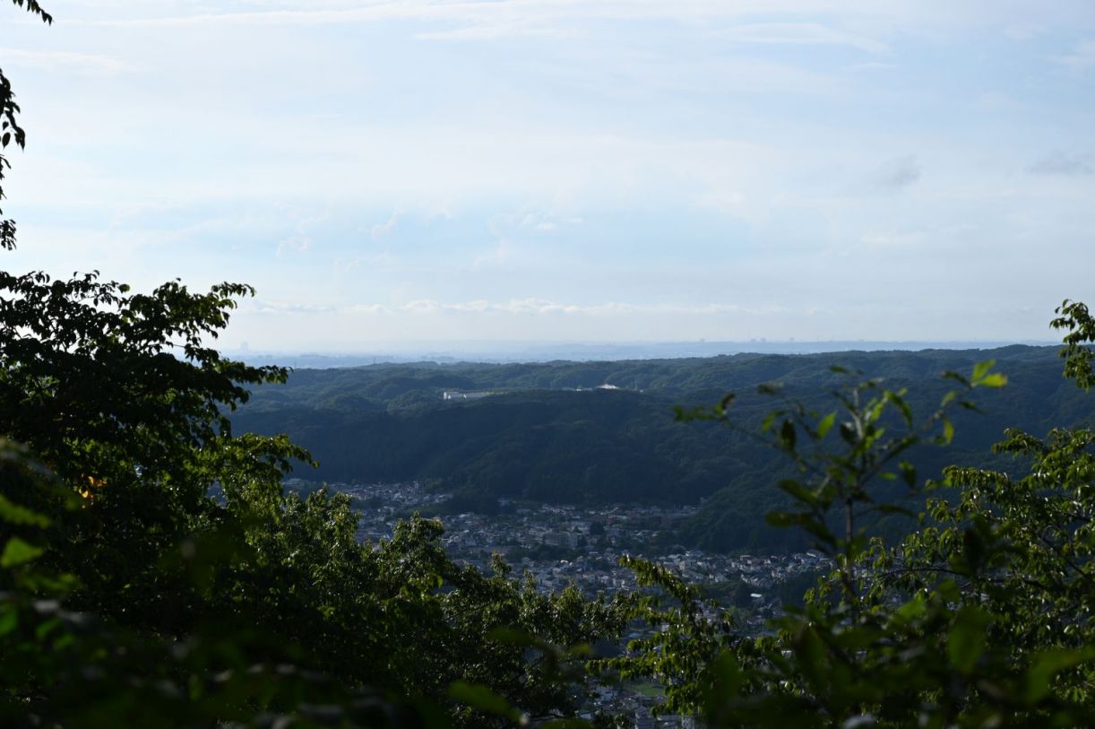 青梅丘陵（青梅駅～三方山～辛垣山～雷電山～軍畑駅）