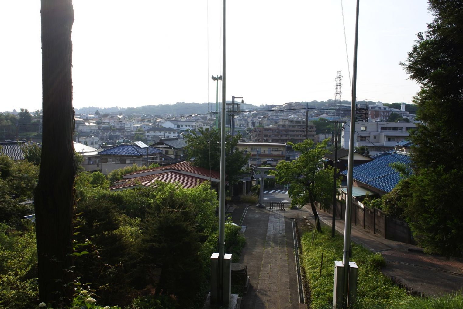 神社と多摩市の川巡り(7km)