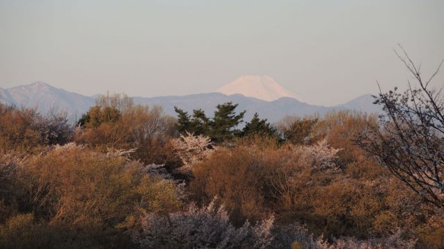 桜ヶ丘公園遊びの広場