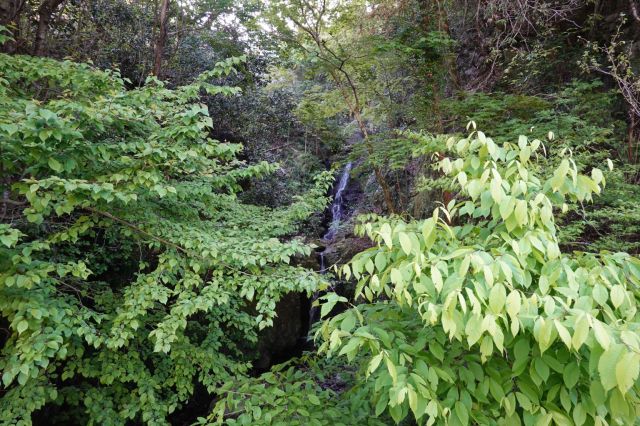 多摩市から檜原村大岳山登山口（千足）までサイクリンク