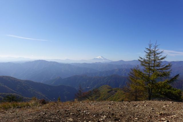 鷹ノ巣山登山（奥沢ー鷹ノ巣山ー六ツ石山ー水根）