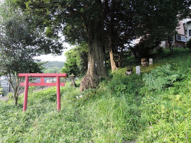 多摩市連光寺 　神明社