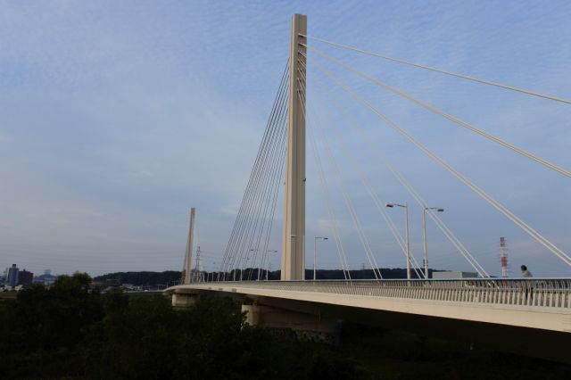 交通公園～四谷橋周遊コース（8km）