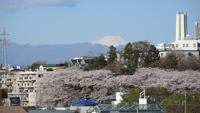 富士山の見える場所