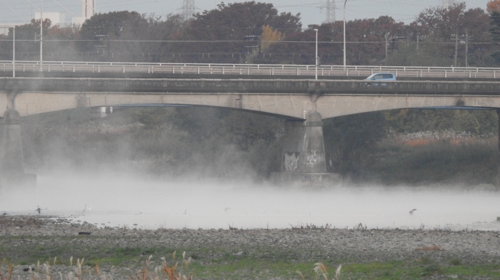 多摩川の朝霧