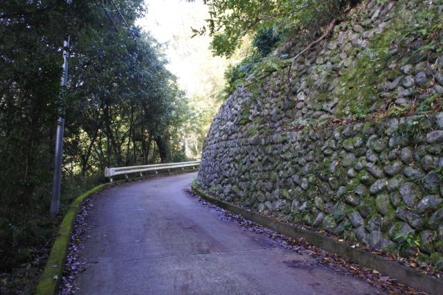 しばらくは舗装道路