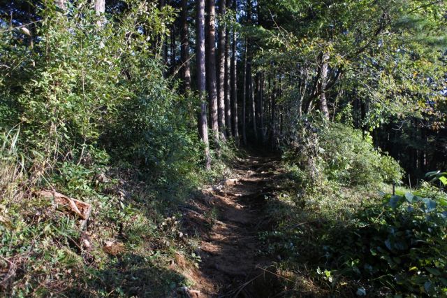 登山道