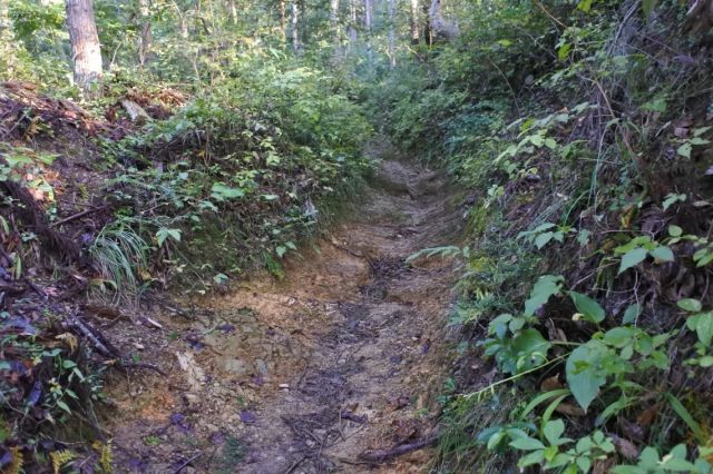 水路のような道