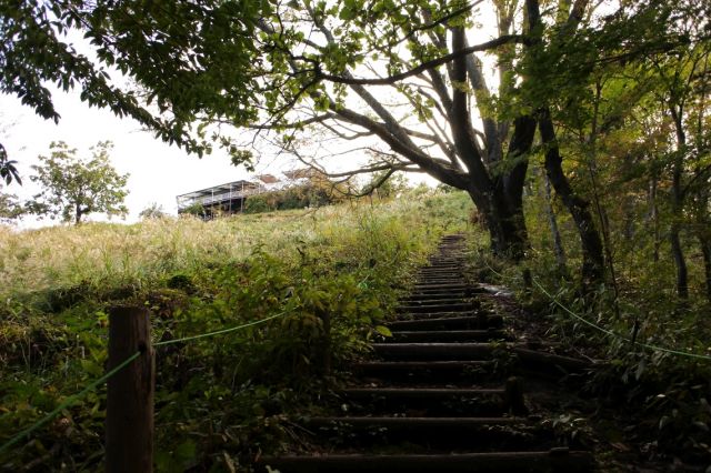 山頂近くで木の階段が