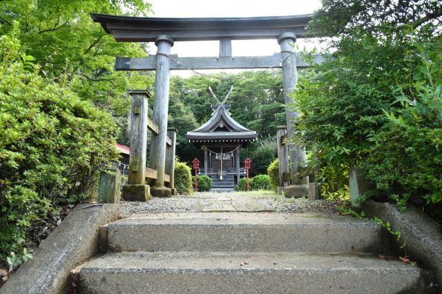 鳥居と社殿