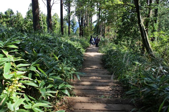 整備された登山道