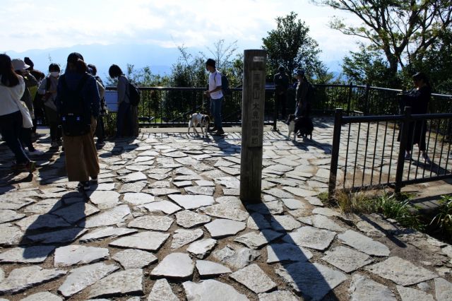 高尾山頂