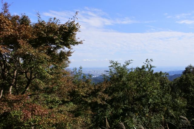 山頂から都心を眺め