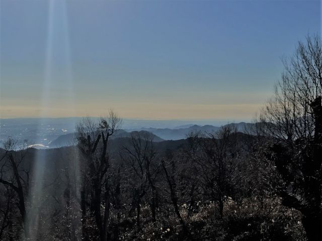 南側には駿河湾や江ノ島も