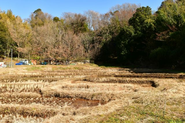 冬の谷戸田