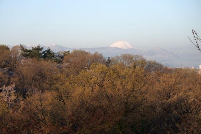 今朝は冷え込んで山に雪が