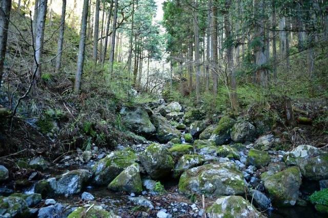 小川を渡りながら