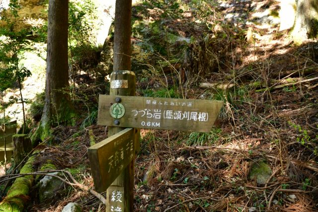 つづら岩まで600m