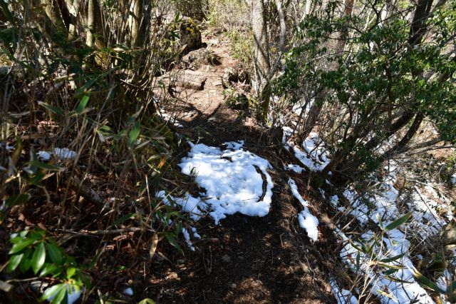 雪が残っている