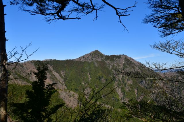 大岳山が見えてきました