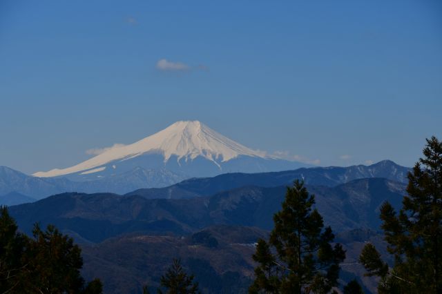 富士山はバッチリ見えます。