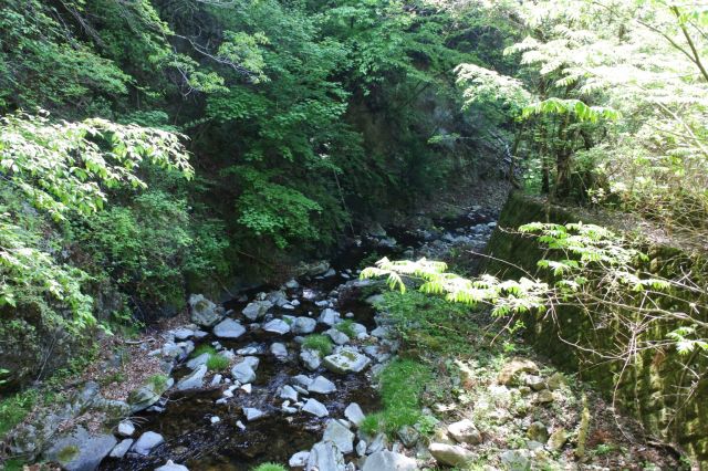 川沿いを歩きます