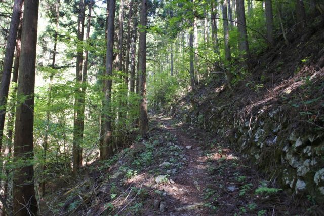 再び登山道へ