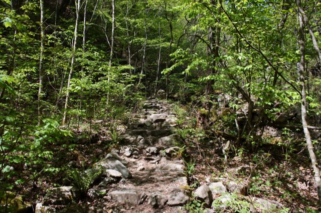 ここから本格登山です