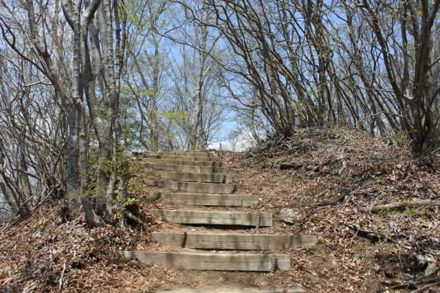 山頂向けて尾根を歩く