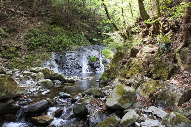 行きは寄らなかった滝