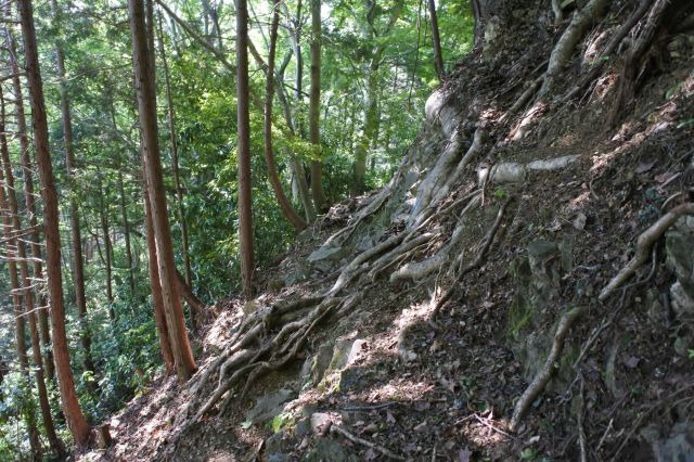 唯一の難所