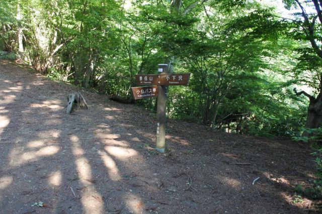 小仏バス停から登る道との合流点