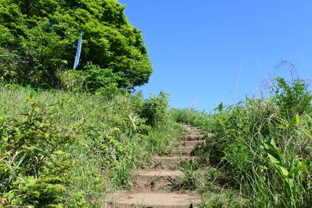 最後の階段