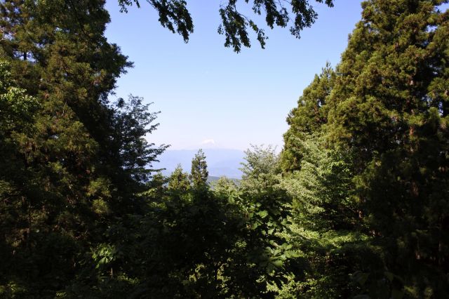 富士山も見えます