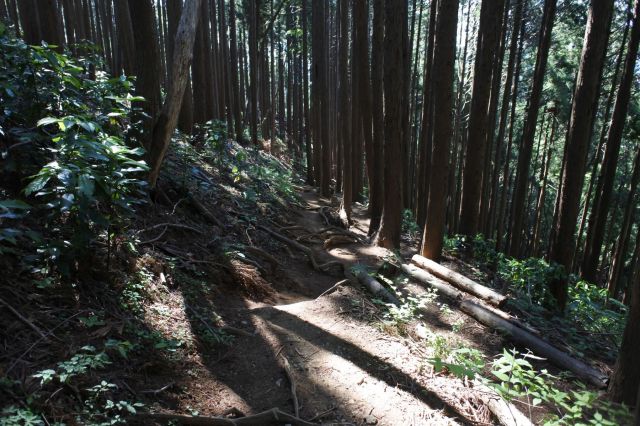 帰りは小仏バス停を目指して