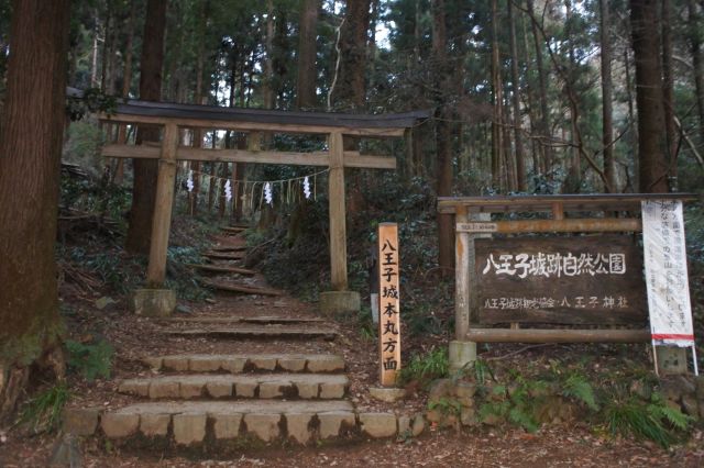 登山開始です