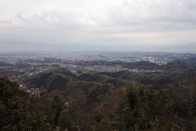 東側の展望