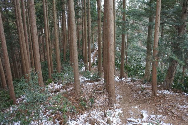 ここから先は結構精神的に厳しいです